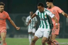  亚特兰大vs佛罗伦萨比赛推迟原因是什么 -乐鱼体育入口